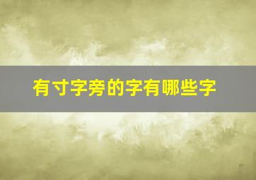 有寸字旁的字有哪些字