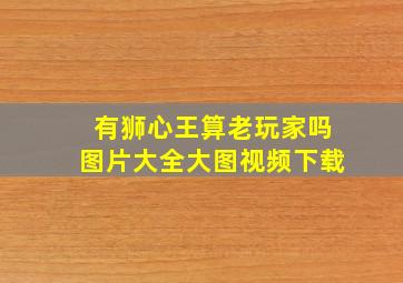 有狮心王算老玩家吗图片大全大图视频下载