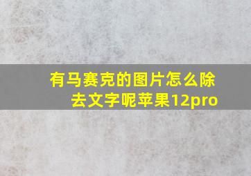 有马赛克的图片怎么除去文字呢苹果12pro