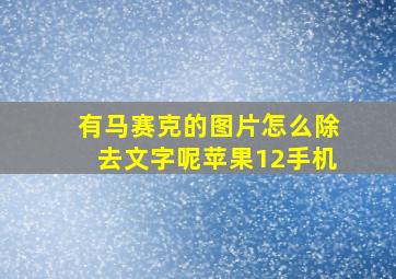 有马赛克的图片怎么除去文字呢苹果12手机