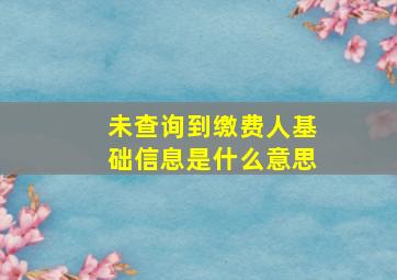 未查询到缴费人基础信息是什么意思