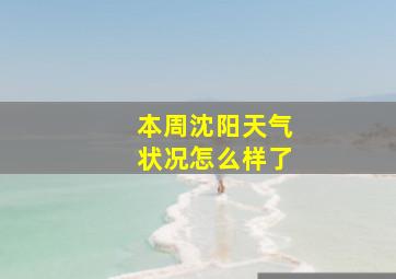 本周沈阳天气状况怎么样了