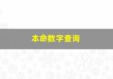 本命数字查询