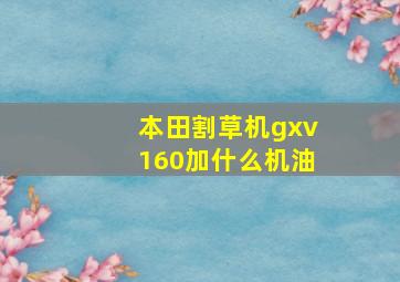 本田割草机gxv160加什么机油