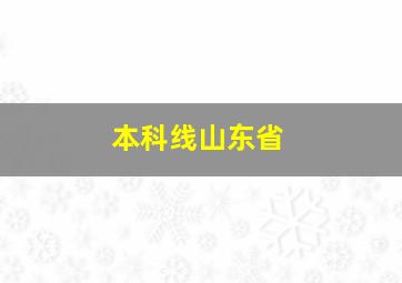 本科线山东省