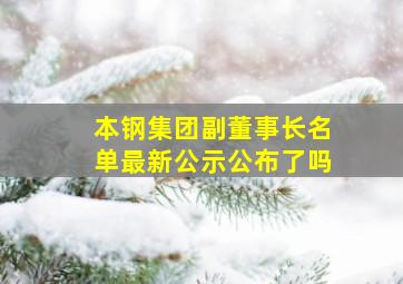 本钢集团副董事长名单最新公示公布了吗