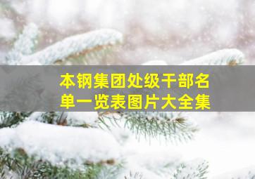 本钢集团处级干部名单一览表图片大全集