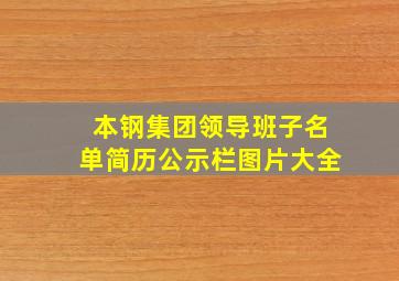 本钢集团领导班子名单简历公示栏图片大全