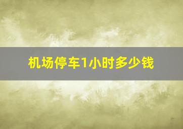 机场停车1小时多少钱