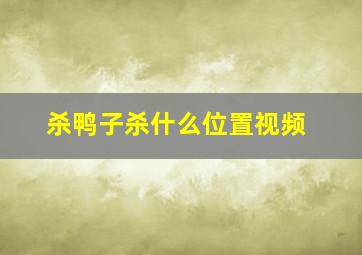 杀鸭子杀什么位置视频