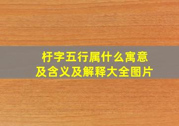 杅字五行属什么寓意及含义及解释大全图片