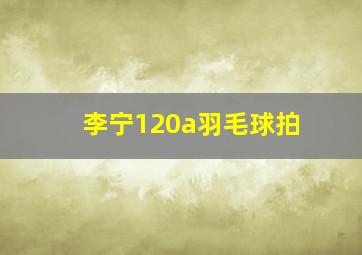 李宁120a羽毛球拍