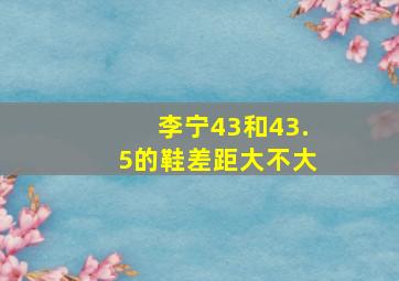 李宁43和43.5的鞋差距大不大