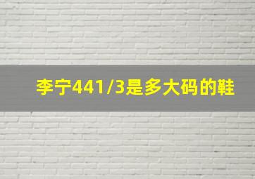 李宁441/3是多大码的鞋