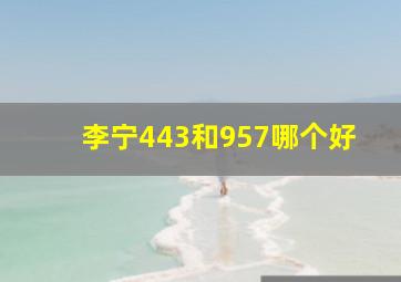 李宁443和957哪个好