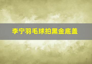 李宁羽毛球拍黑金底盖