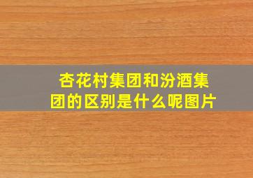 杏花村集团和汾酒集团的区别是什么呢图片