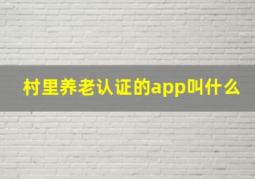 村里养老认证的app叫什么