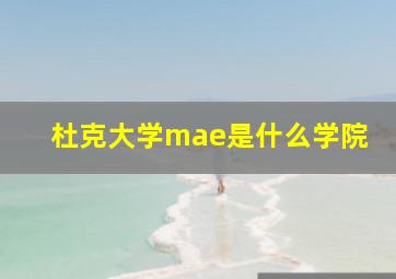 杜克大学mae是什么学院