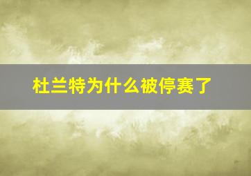 杜兰特为什么被停赛了