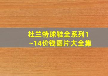 杜兰特球鞋全系列1~14价钱图片大全集