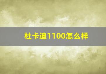 杜卡迪1100怎么样