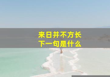 来日并不方长下一句是什么