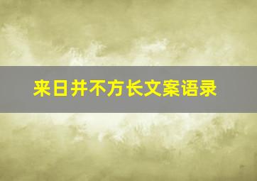 来日并不方长文案语录