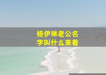 杨伊琳老公名字叫什么来着