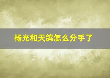 杨光和天鸽怎么分手了