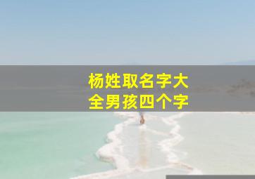 杨姓取名字大全男孩四个字