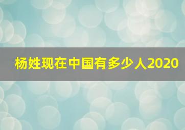 杨姓现在中国有多少人2020