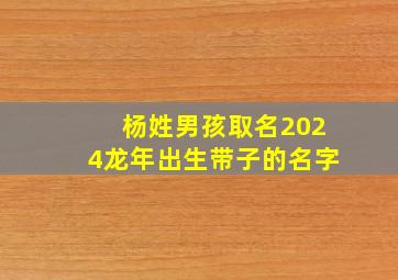 杨姓男孩取名2024龙年出生带子的名字