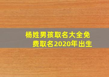 杨姓男孩取名大全免费取名2020年出生