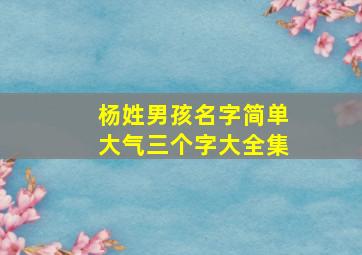 杨姓男孩名字简单大气三个字大全集