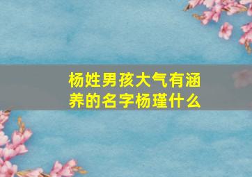 杨姓男孩大气有涵养的名字杨瑾什么