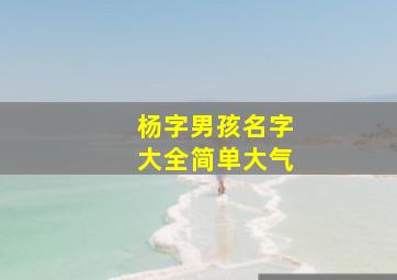 杨字男孩名字大全简单大气