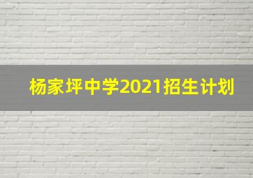 杨家坪中学2021招生计划