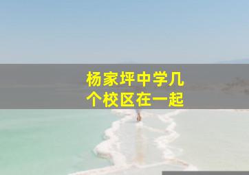 杨家坪中学几个校区在一起