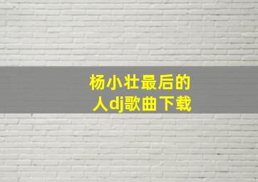 杨小壮最后的人dj歌曲下载