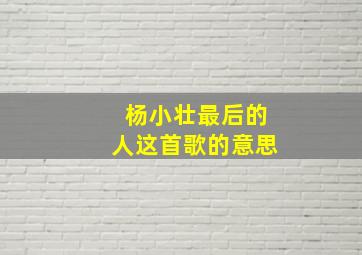 杨小壮最后的人这首歌的意思