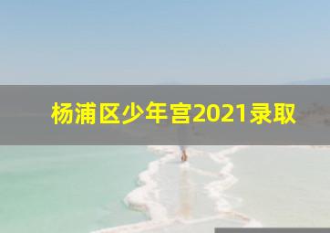 杨浦区少年宫2021录取