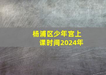 杨浦区少年宫上课时间2024年