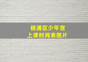 杨浦区少年宫上课时间表图片