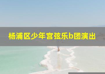 杨浦区少年宫弦乐b团演出