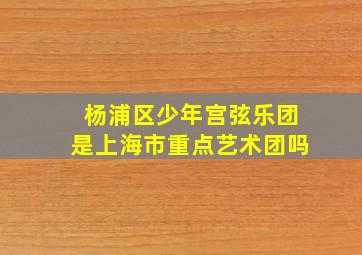 杨浦区少年宫弦乐团是上海市重点艺术团吗