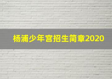 杨浦少年宫招生简章2020