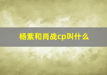 杨紫和肖战cp叫什么