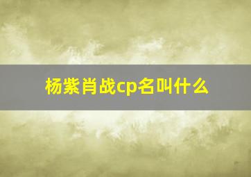 杨紫肖战cp名叫什么