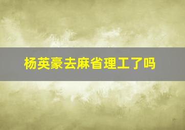 杨英豪去麻省理工了吗